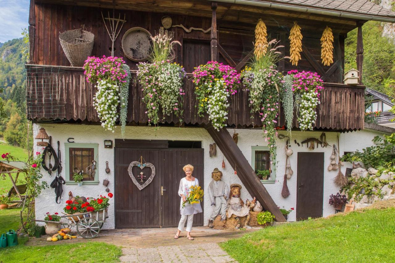 Apartments Green Paradise Bohinjska Bela Kültér fotó