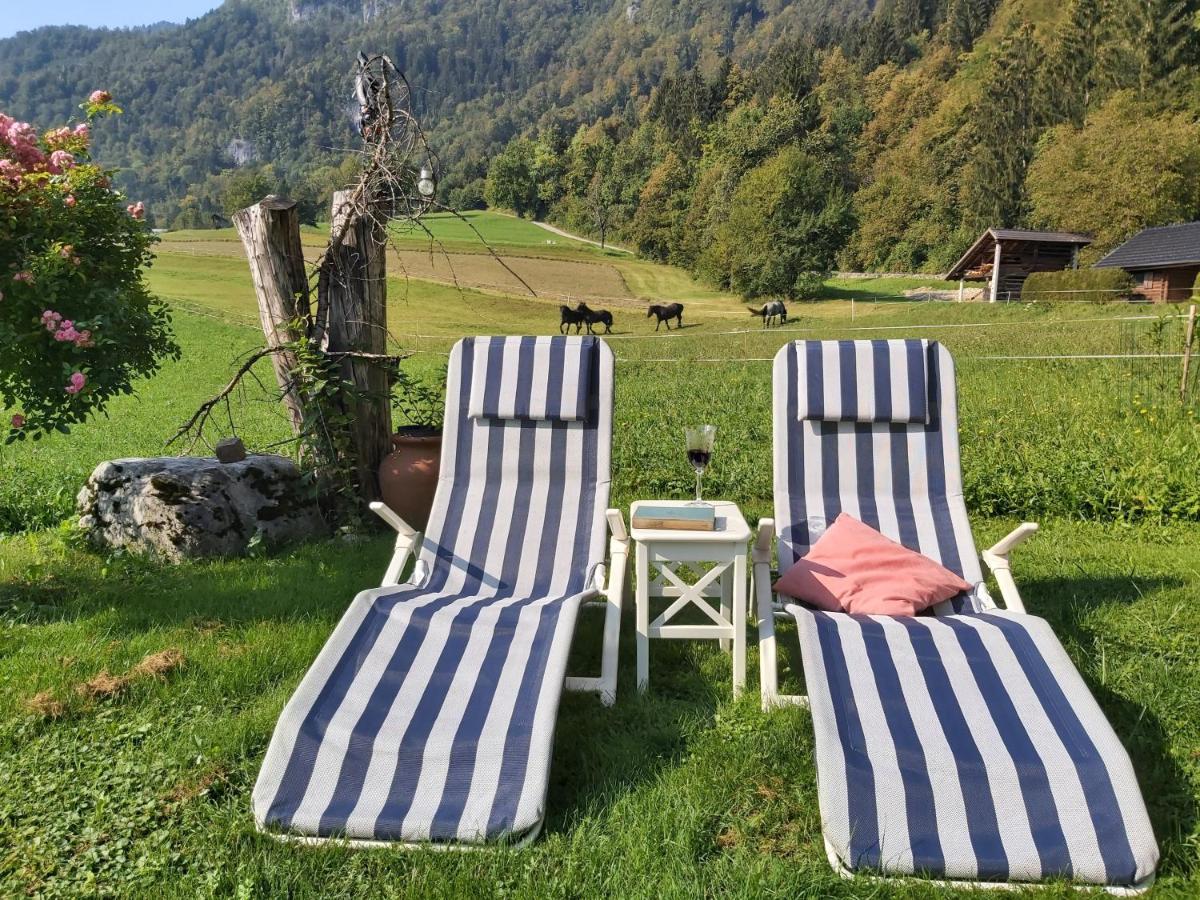 Apartments Green Paradise Bohinjska Bela Kültér fotó