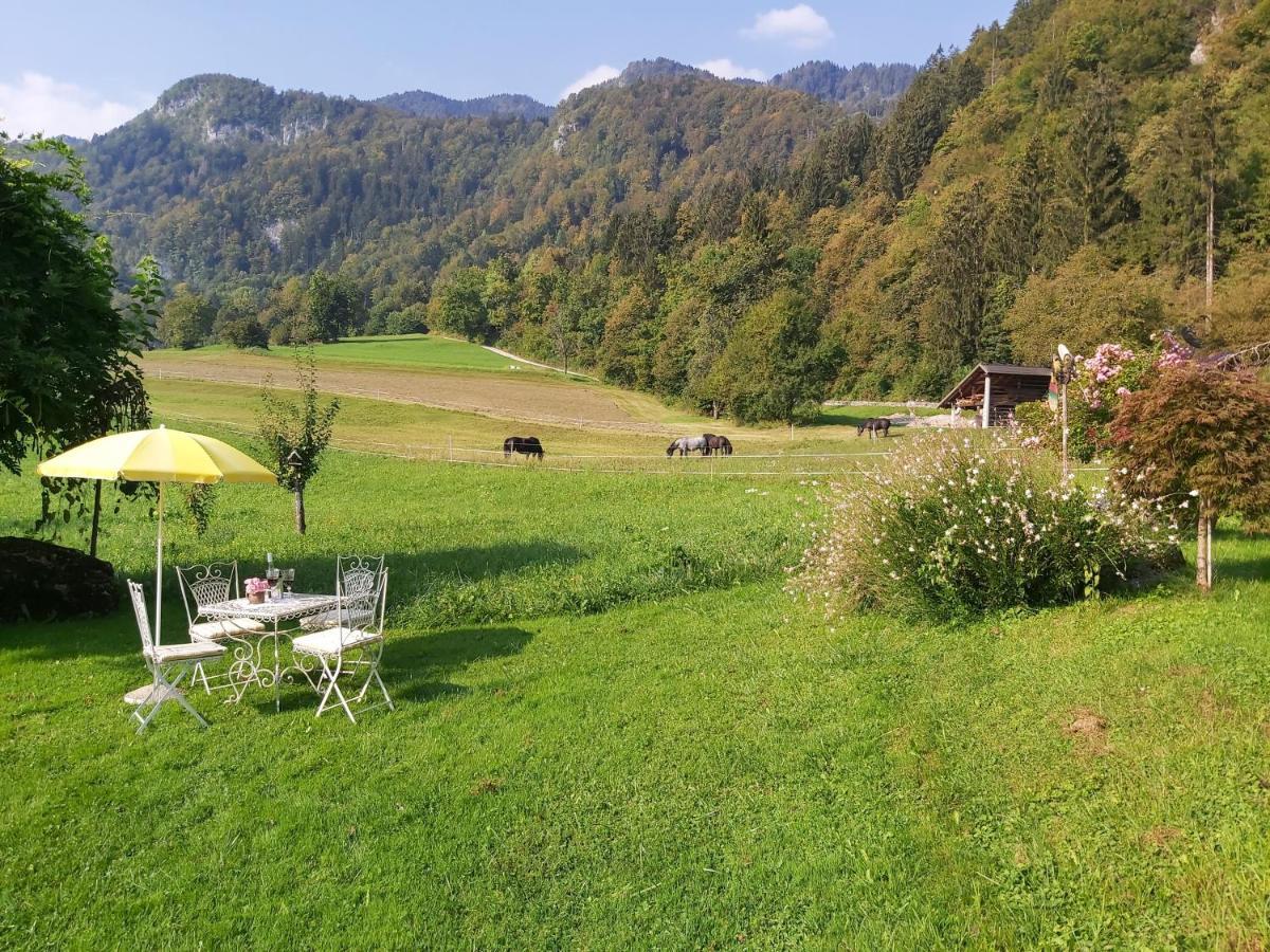 Apartments Green Paradise Bohinjska Bela Kültér fotó