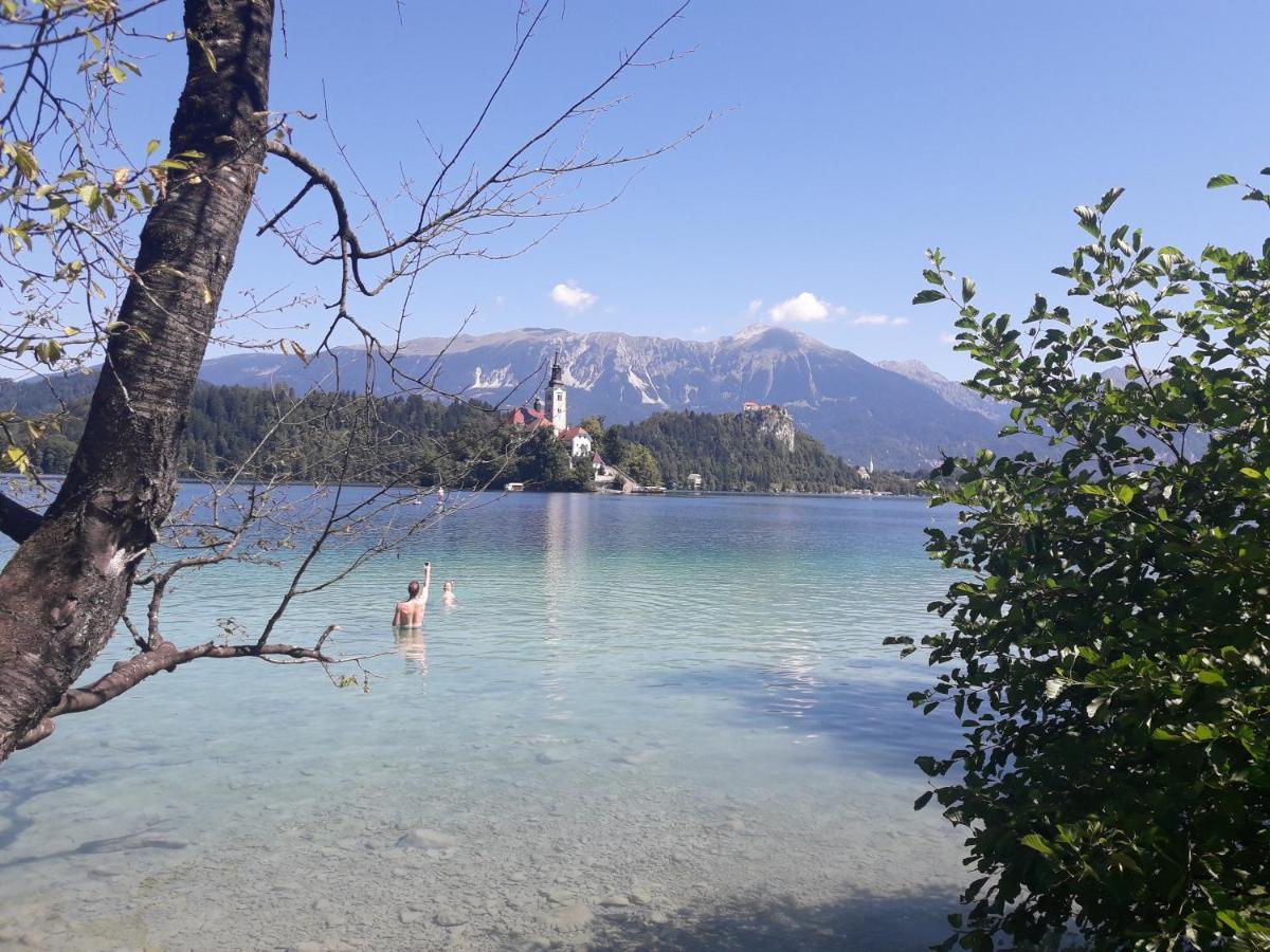 Apartments Green Paradise Bohinjska Bela Kültér fotó