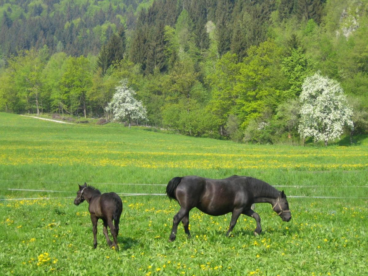 Apartments Green Paradise Bohinjska Bela Kültér fotó
