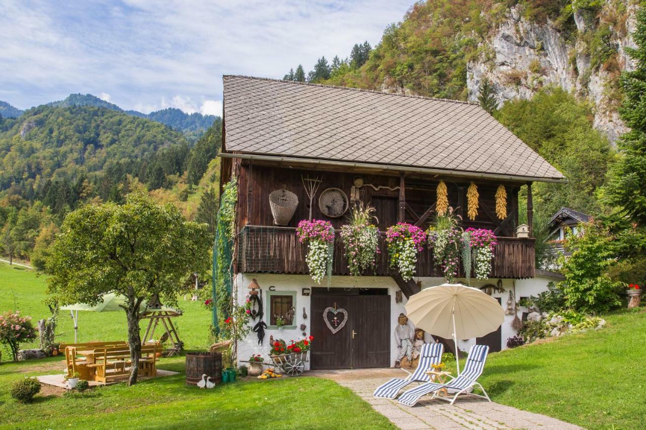 Apartments Green Paradise Bohinjska Bela Kültér fotó